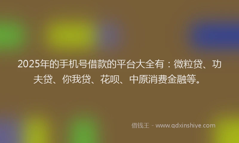 2025年的手机号借款的平台大全有：微粒贷、功夫贷、你我贷、花呗、中原消费金融等。