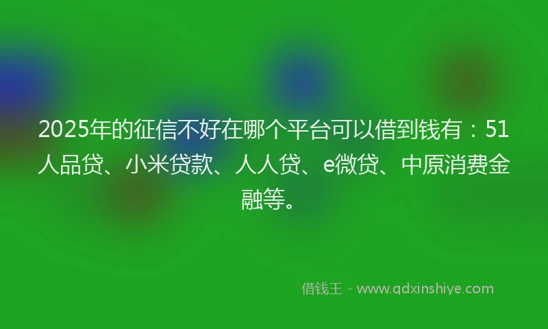 2025年的征信不好在哪个平台可以借到钱有：51人品贷、小米贷款、人人贷、e微贷、中原消费金融等。