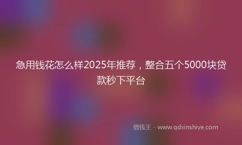 急用钱花怎么样2025年推荐，整合五个5000块贷款秒下平台