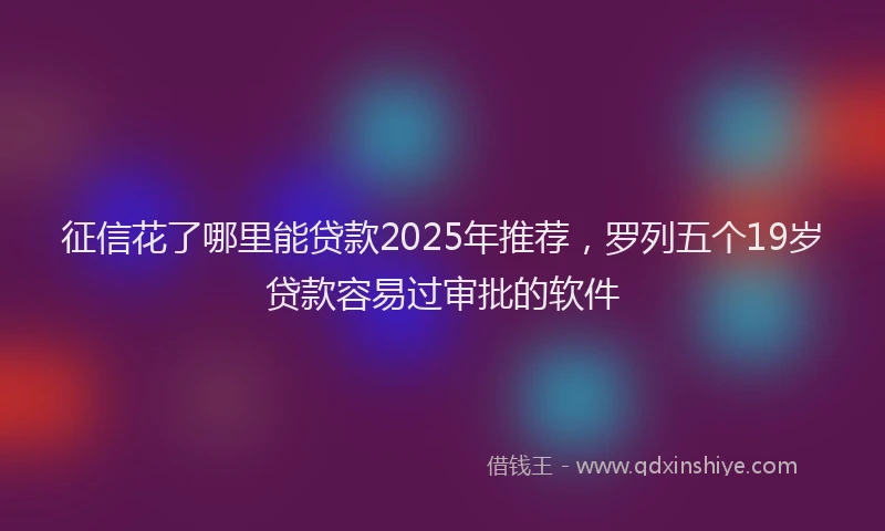 征信花了哪里能贷款2025年推荐，罗列五个19岁贷款容易过审批的软件