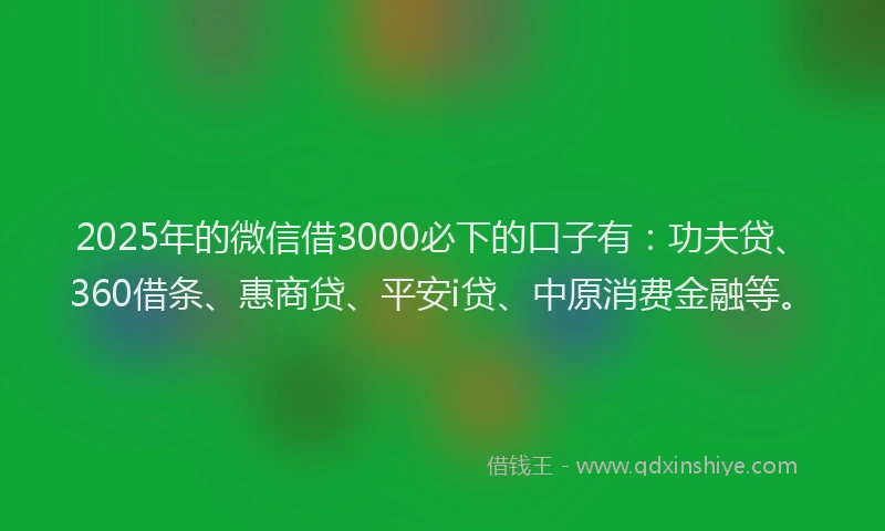 2025年的微信借3000必下的口子有：功夫贷、360借条、惠商贷、平安i贷、中原消费金融等。
