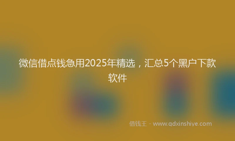 微信借点钱急用2025年精选，汇总5个黑户下款软件