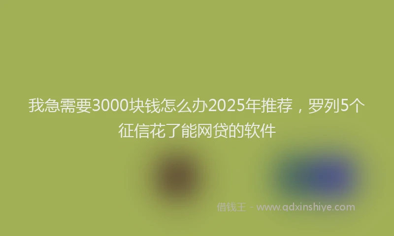 我急需要3000块钱怎么办2025年推荐，罗列5个征信花了能网贷的软件