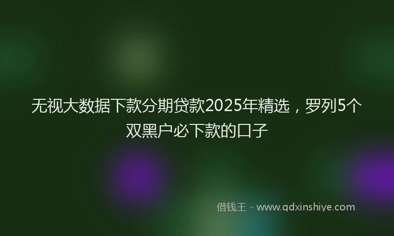 无视大数据下款分期贷款2025年精选，罗列5个双黑户必下款的口子