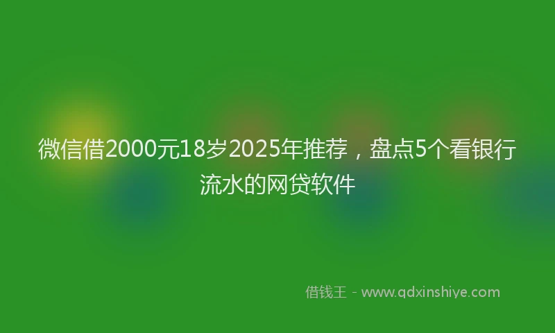 微信借2000元18岁2025年推荐，盘点5个看银行流水的网贷软件