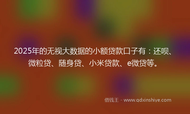 2025年的无视大数据的小额贷款口子有：还呗、微粒贷、随身贷、小米贷款、e微贷等。