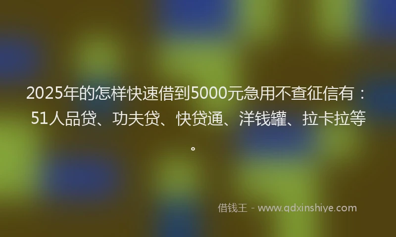 2025年的怎样快速借到5000元急用不查征信有：51人品贷、功夫贷、快贷通、洋钱罐、拉卡拉等。
