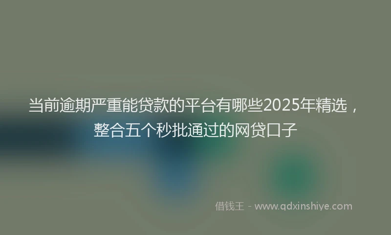 当前逾期严重能贷款的平台有哪些2025年精选，整合五个秒批通过的网贷口子