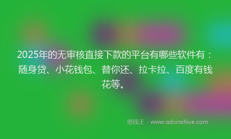 2025年的无审核直接下款的平台有哪些软件有：随身贷、小花钱包、替你还、拉卡拉、百度有钱花等。