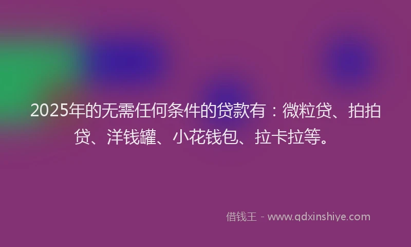 2025年的无需任何条件的贷款有：微粒贷、拍拍贷、洋钱罐、小花钱包、拉卡拉等。