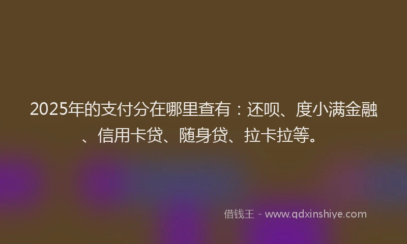 2025年的支付分在哪里查有：还呗、度小满金融、信用卡贷、随身贷、拉卡拉等。