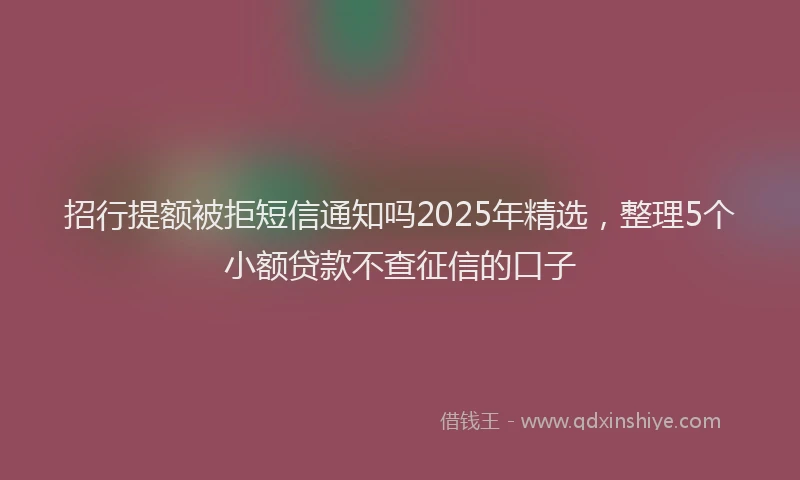招行提额被拒短信通知吗2025年精选，整理5个小额贷款不查征信的口子