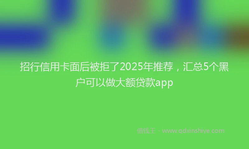 招行信用卡面后被拒了2025年推荐，汇总5个黑户可以做大额贷款app