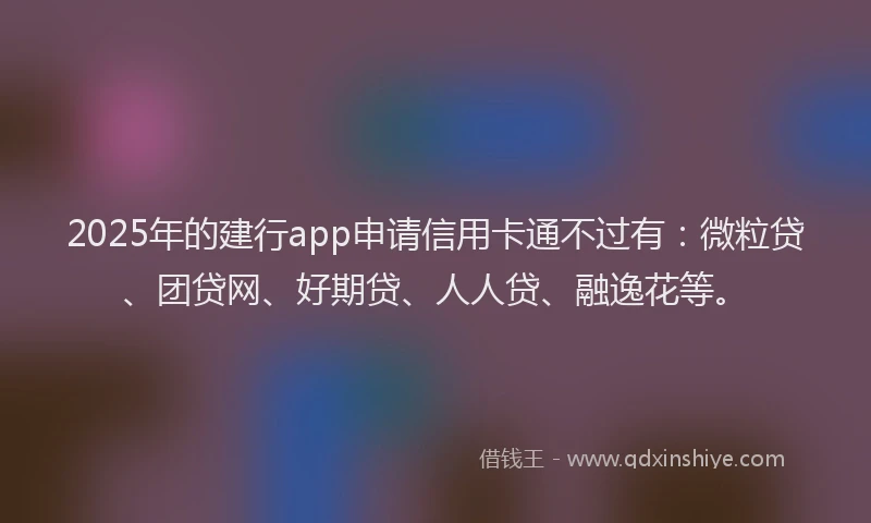 2025年的建行app申请信用卡通不过有：微粒贷、团贷网、好期贷、人人贷、融逸花等。
