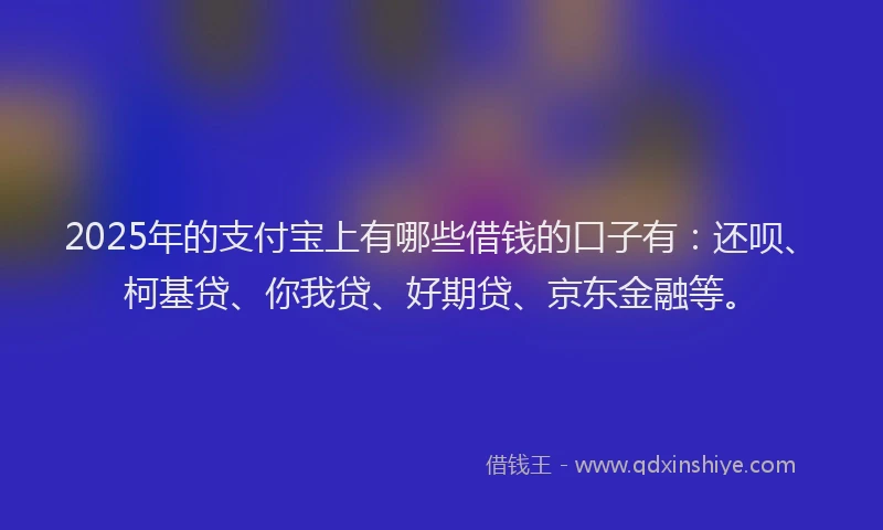 2025年的支付宝上有哪些借钱的口子有：还呗、柯基贷、你我贷、好期贷、京东金融等。