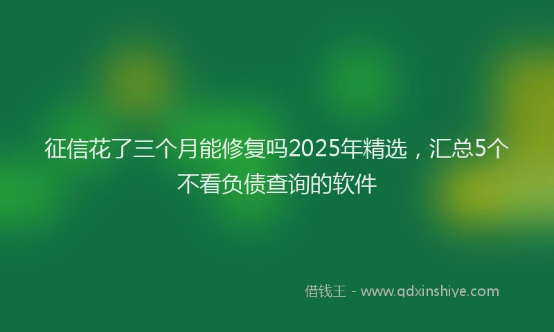 征信花了三个月能修复吗2025年精选，汇总5个不看负债查询的软件