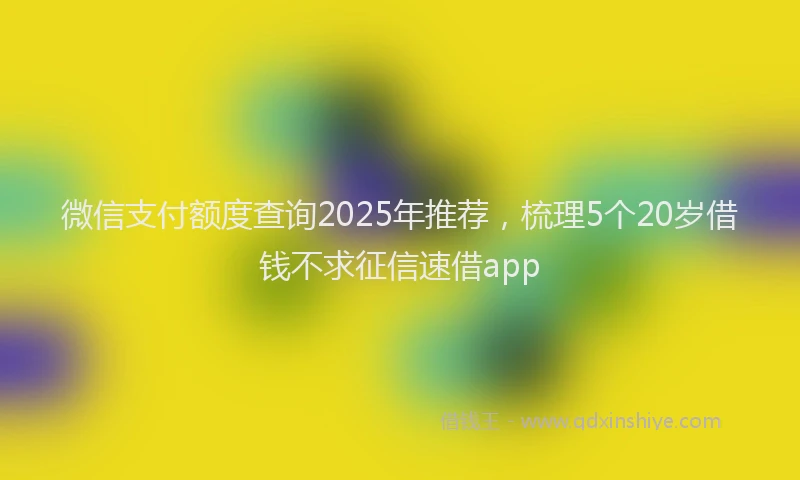 微信支付额度查询2025年推荐，梳理5个20岁借钱不求征信速借app