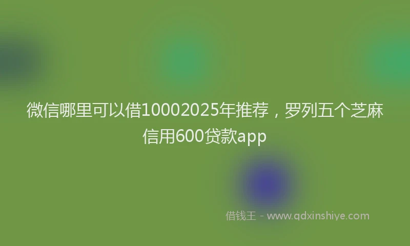 微信哪里可以借10002025年推荐，罗列五个芝麻信用600贷款app