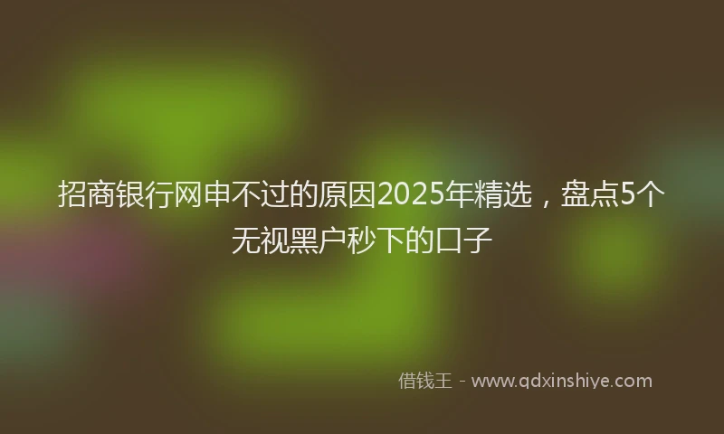 招商银行网申不过的原因2025年精选，盘点5个无视黑户秒下的口子