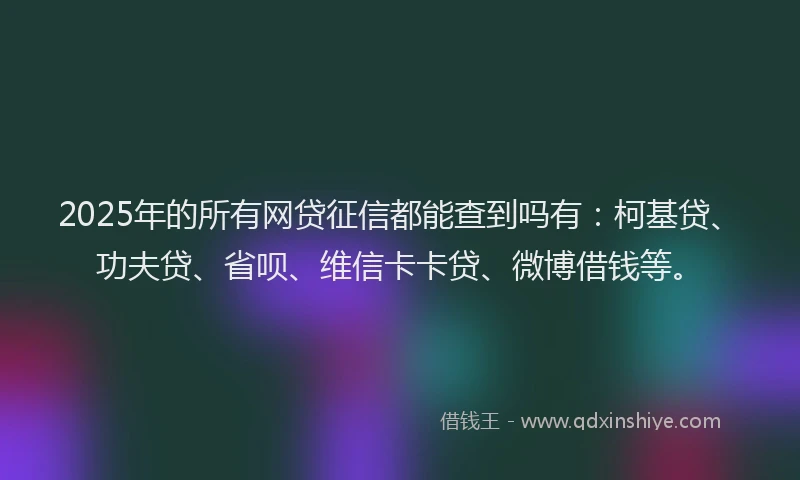 2025年的所有网贷征信都能查到吗有：柯基贷、功夫贷、省呗、维信卡卡贷、微博借钱等。