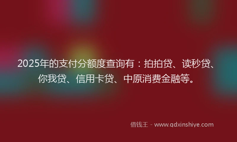 2025年的支付分额度查询有：拍拍贷、读秒贷、你我贷、信用卡贷、中原消费金融等。