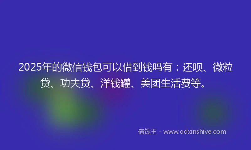 2025年的微信钱包可以借到钱吗有：还呗、微粒贷、功夫贷、洋钱罐、美团生活费等。