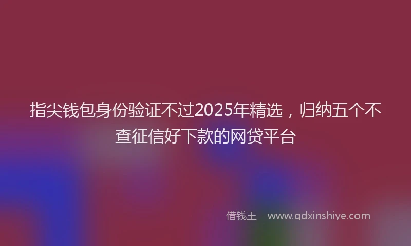 指尖钱包身份验证不过2025年精选，归纳五个不查征信好下款的网贷平台