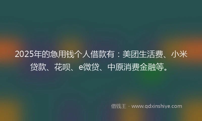 2025年的急用钱个人借款有：美团生活费、小米贷款、花呗、e微贷、中原消费金融等。