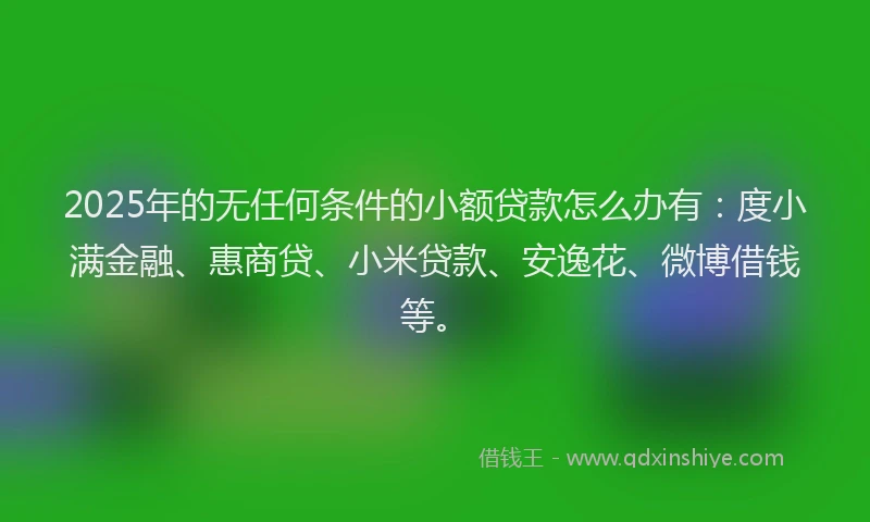 2025年的无任何条件的小额贷款怎么办有：度小满金融、惠商贷、小米贷款、安逸花、微博借钱等。