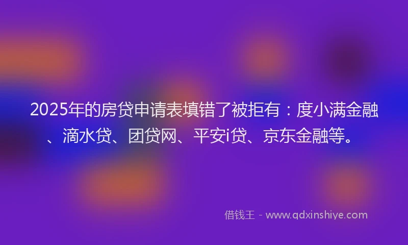 2025年的房贷申请表填错了被拒有：度小满金融、滴水贷、团贷网、平安i贷、京东金融等。