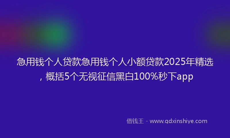 急用钱个人贷款急用钱个人小额贷款2025年精选，概括5个无视征信黑白100%秒下app