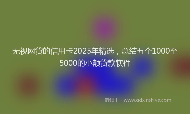 无视网贷的信用卡2025年精选，总结五个1000至5000的小额贷款软件