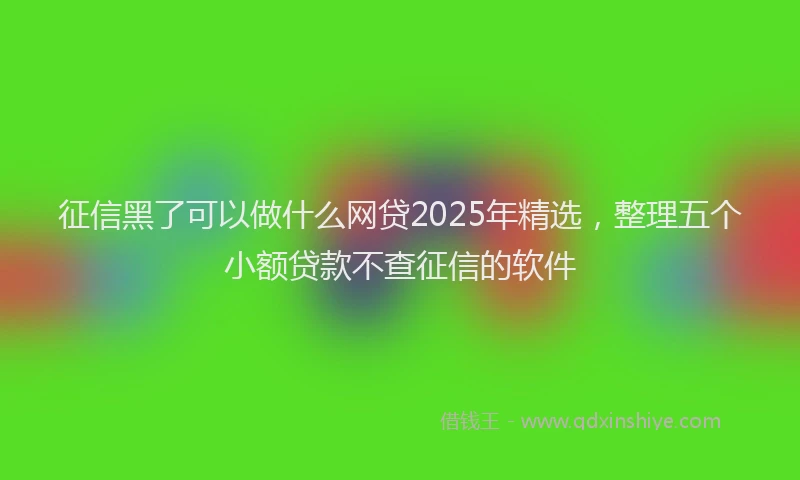 征信黑了可以做什么网贷2025年精选，整理五个小额贷款不查征信的软件