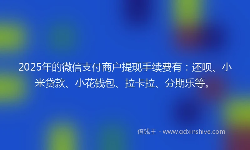 2025年的微信支付商户提现手续费有：还呗、小米贷款、小花钱包、拉卡拉、分期乐等。