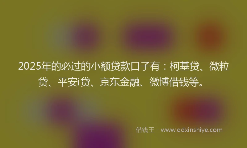 2025年的必过的小额贷款口子有：柯基贷、微粒贷、平安i贷、京东金融、微博借钱等。