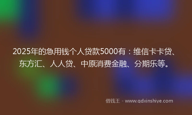 2025年的急用钱个人贷款5000有：维信卡卡贷、东方汇、人人贷、中原消费金融、分期乐等。