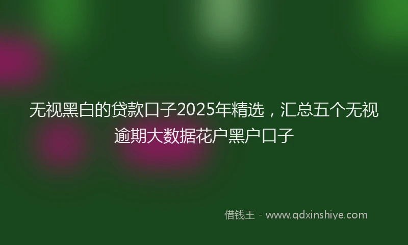 无视黑白的贷款口子2025年精选，汇总五个无视逾期大数据花户黑户口子