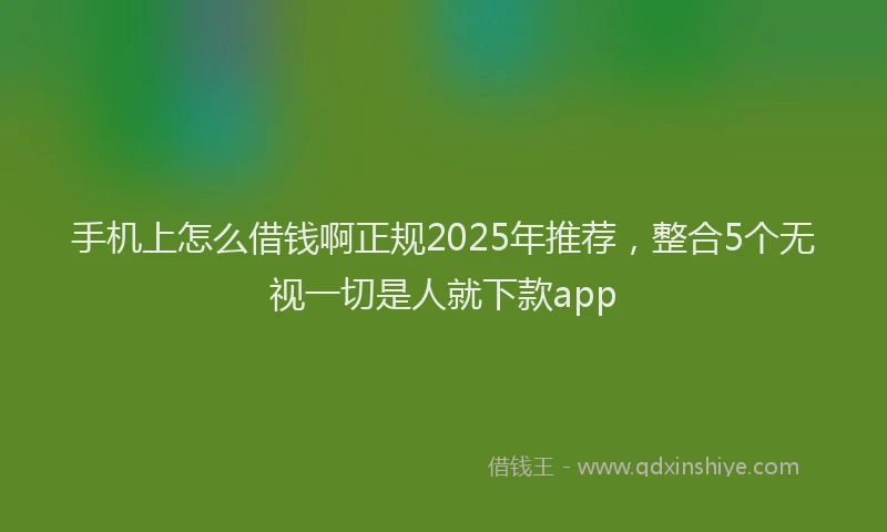 手机上怎么借钱啊正规2025年推荐，整合5个无视一切是人就下款app