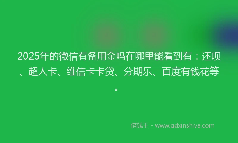 2025年的微信有备用金吗在哪里能看到有：还呗、超人卡、维信卡卡贷、分期乐、百度有钱花等。