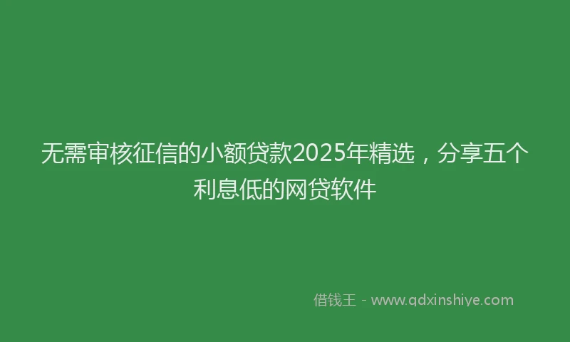 无需审核征信的小额贷款2025年精选，分享五个利息低的网贷软件