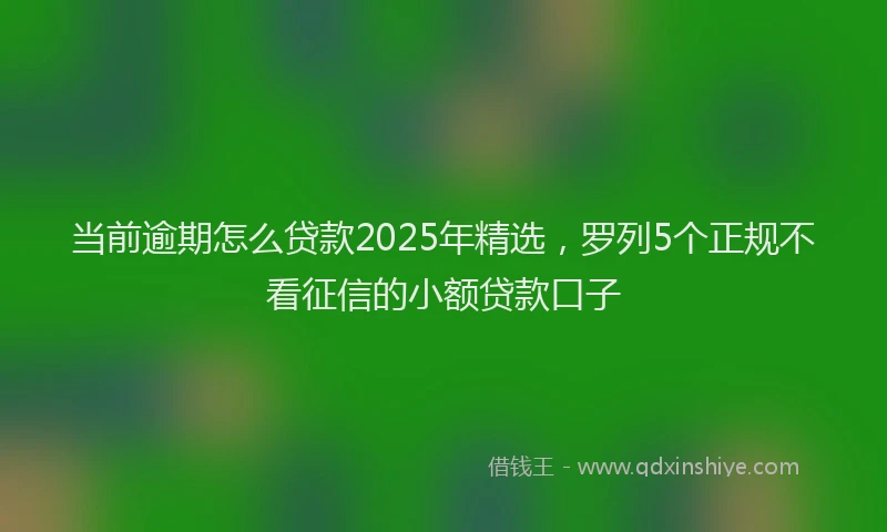 当前逾期怎么贷款2025年精选，罗列5个正规不看征信的小额贷款口子