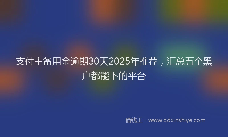 支付主备用金逾期30天2025年推荐，汇总五个黑户都能下的平台