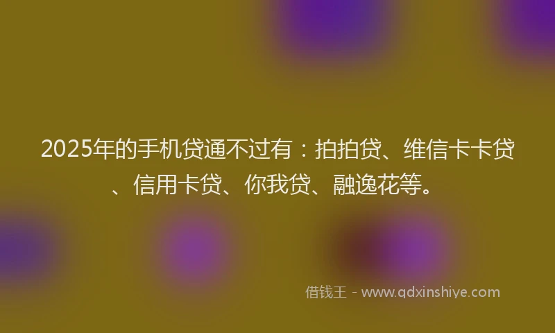2025年的手机贷通不过有：拍拍贷、维信卡卡贷、信用卡贷、你我贷、融逸花等。