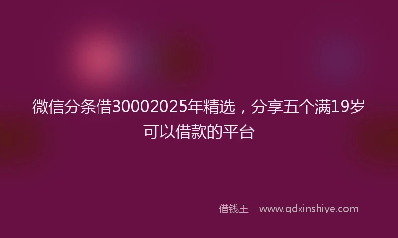 微信分条借30002025年精选，分享五个满19岁可以借款的平台