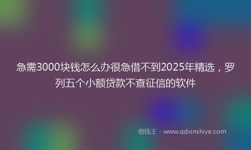 急需3000块钱怎么办很急借不到2025年精选，罗列五个小额贷款不查征信的软件