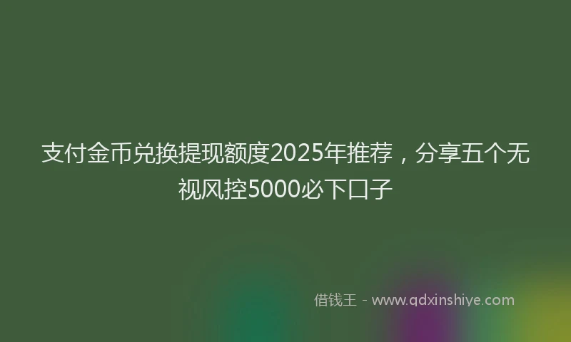 支付金币兑换提现额度2025年推荐，分享五个无视风控5000必下口子