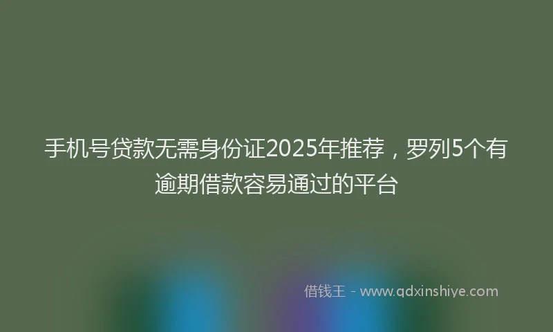 手机号贷款无需身份证2025年推荐，罗列5个有逾期借款容易通过的平台