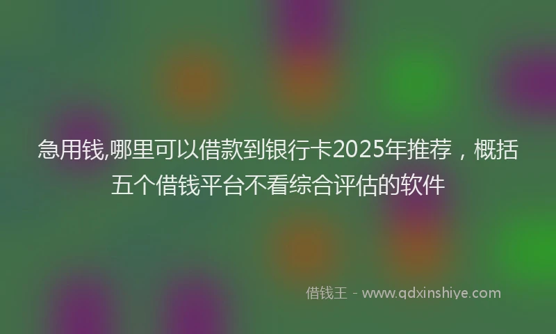 急用钱,哪里可以借款到银行卡2025年推荐，概括五个借钱平台不看综合评估的软件