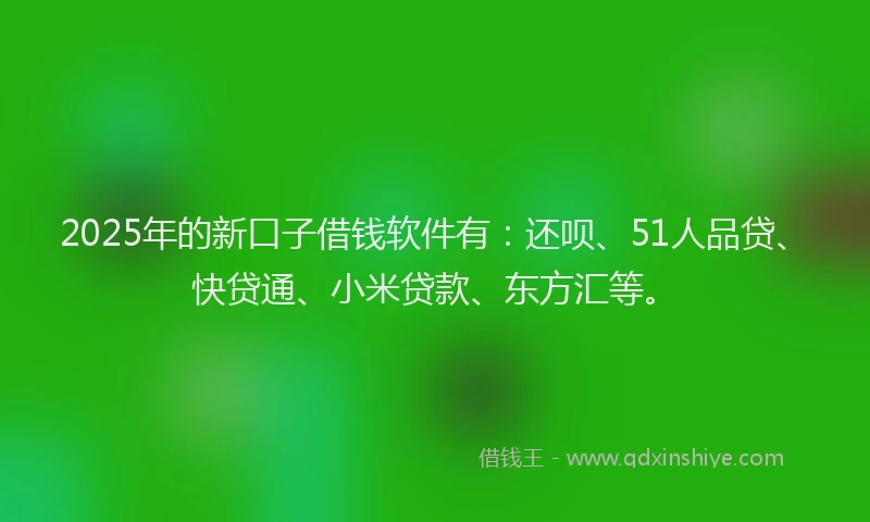 2025年的新口子借钱软件有：还呗、51人品贷、快贷通、小米贷款、东方汇等。
