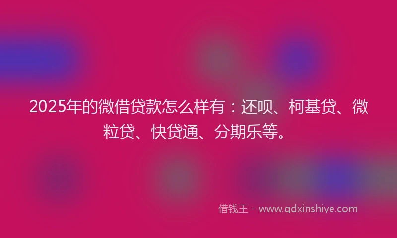 2025年的微借贷款怎么样有：还呗、柯基贷、微粒贷、快贷通、分期乐等。